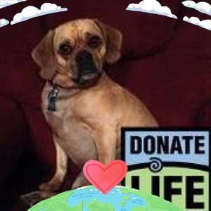 Meet your Posher, Nadia